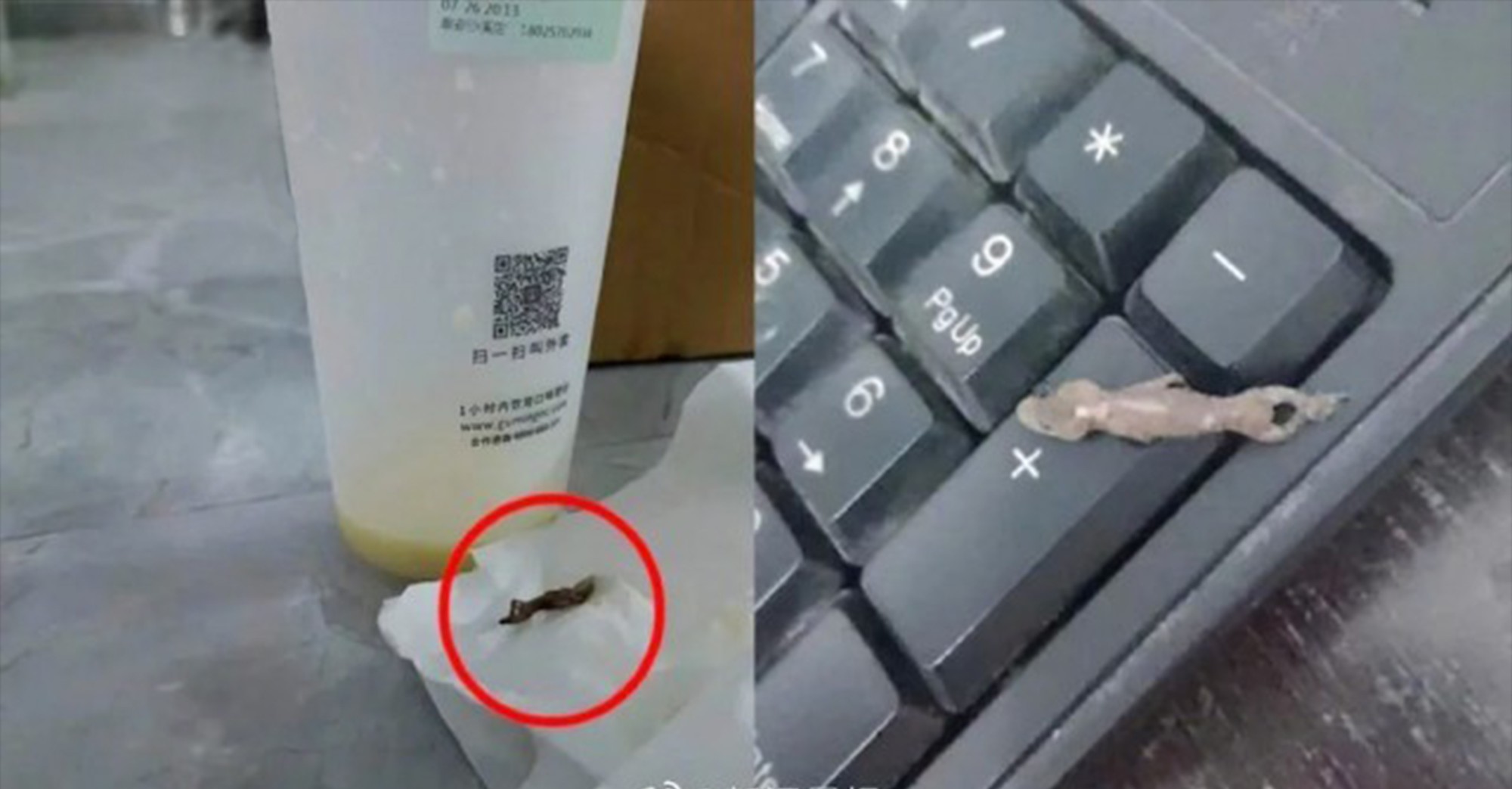 知名奶茶被曝喝出壁虎！