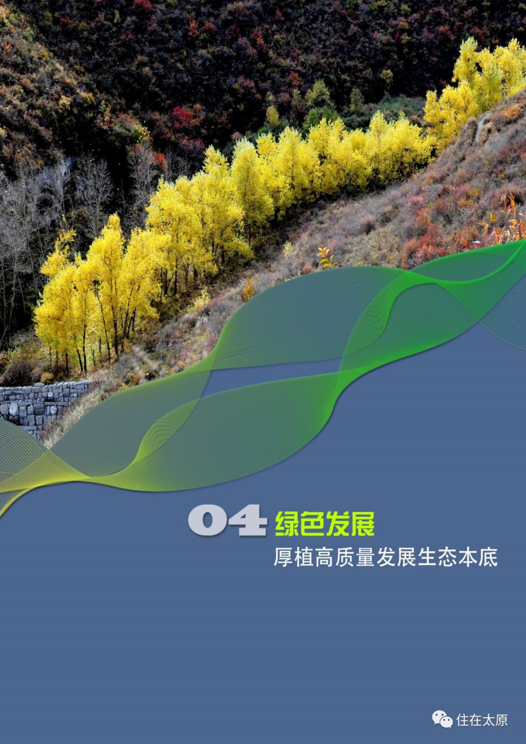 64095c1f65d6497acd741460855a723.png