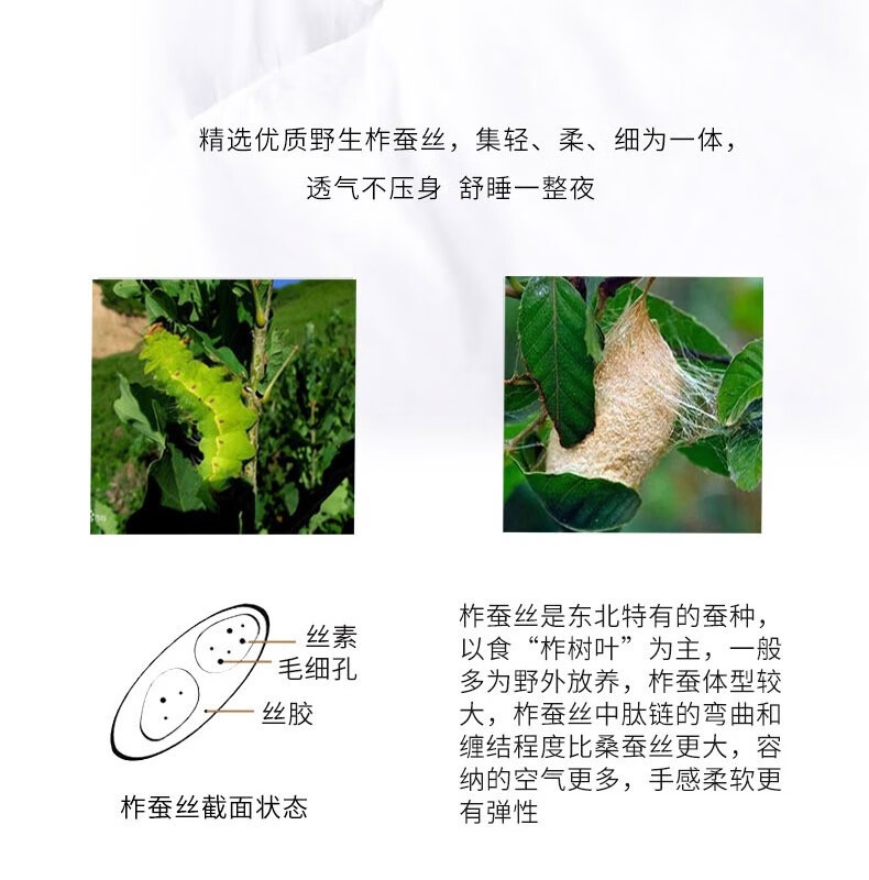 ab15405a3d5715ad2fafea665656cffa_acdab1c987af272a.jpg