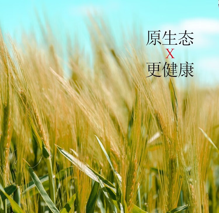 4a29b1aa46ec7e7bf12b6a93c7dff6ad_56f6be0f74bb3031.jpg