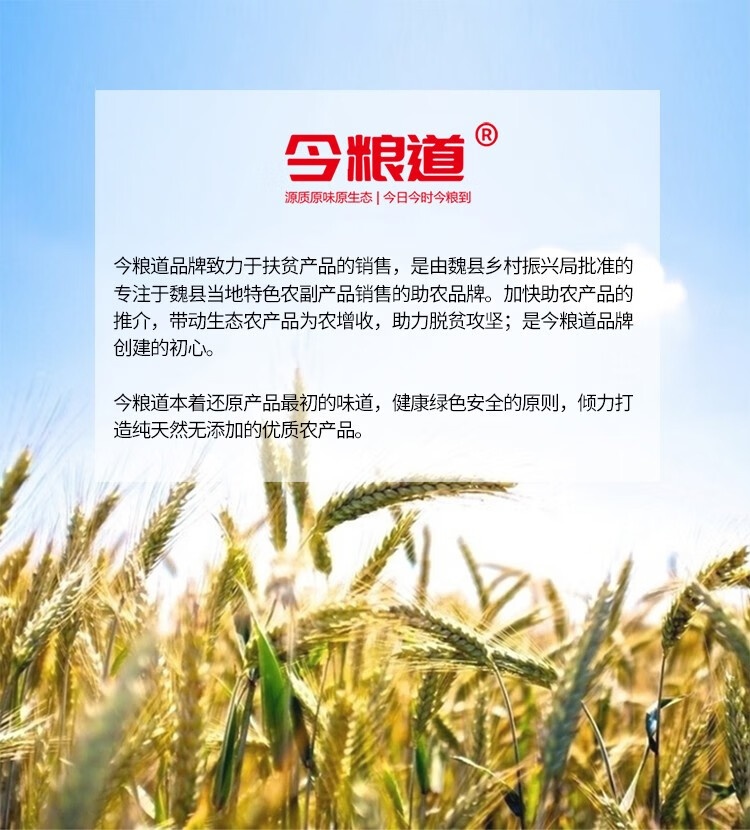 9bc6b0bf060b48c1d4a599ff6810d957_73f77b53fc1a221f.jpg